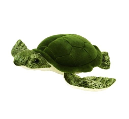 turtle plushies