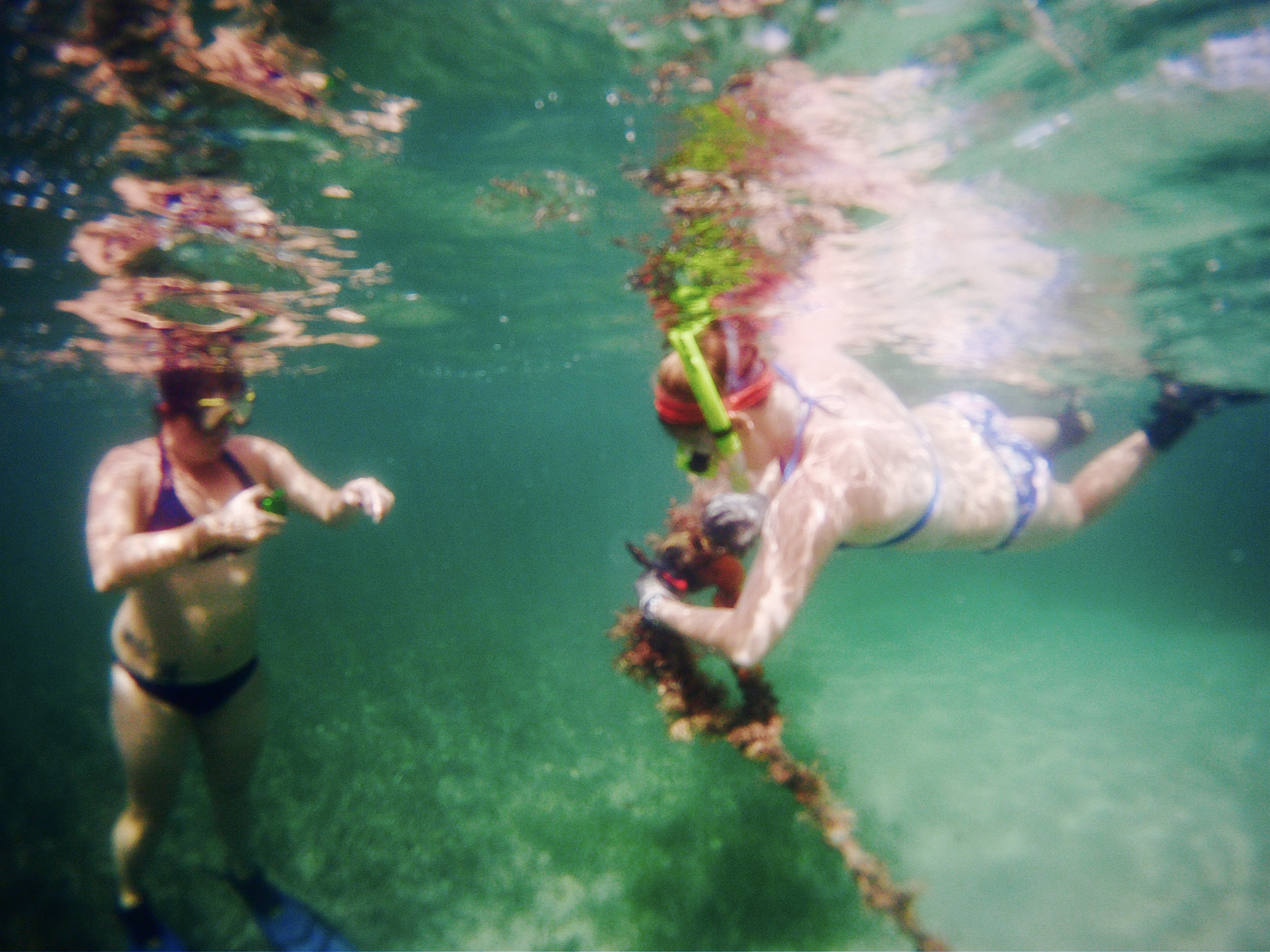 DCIM100GOPRO