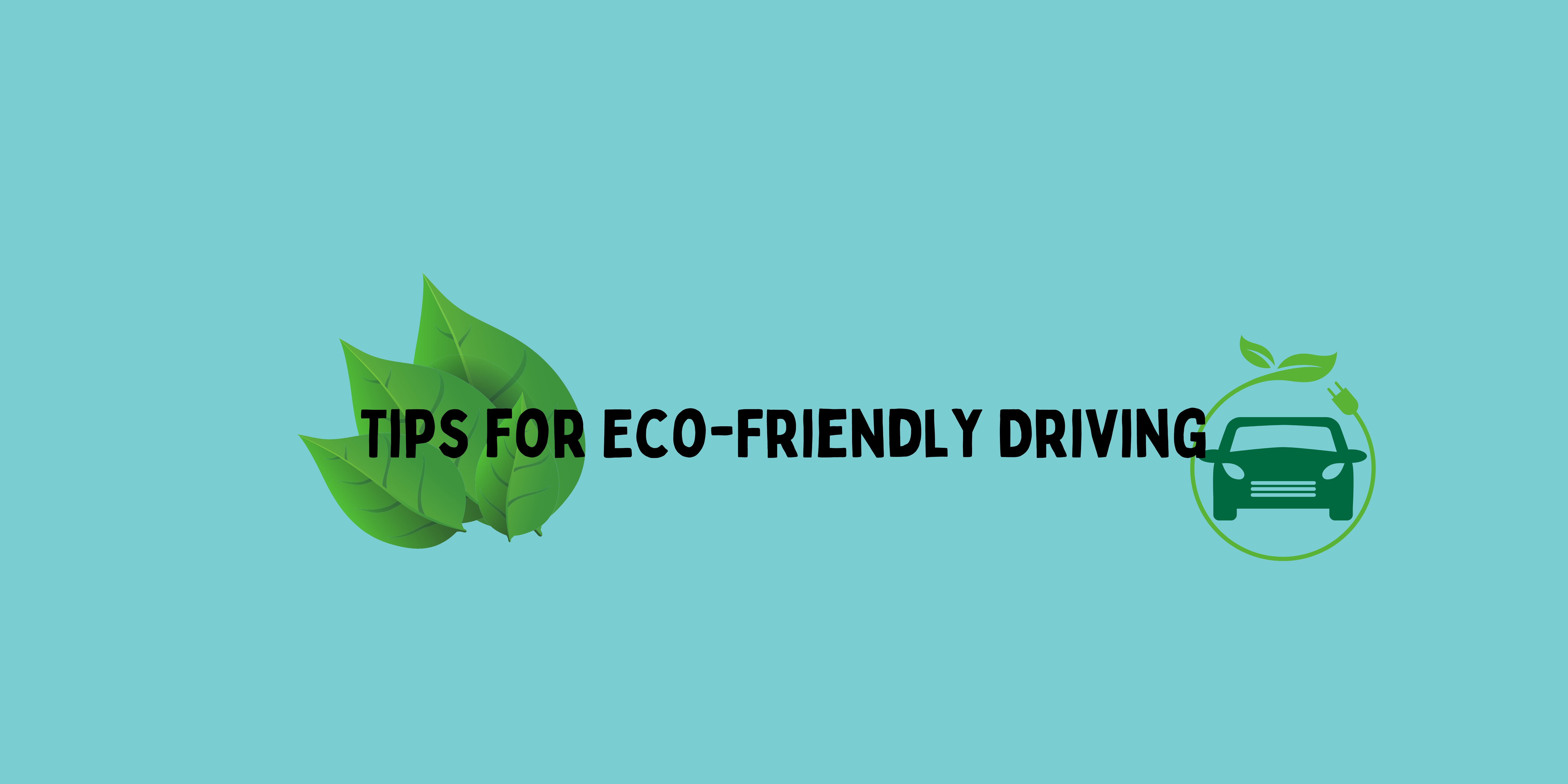 Green Wheels: Eco-Friendly Drive Options
