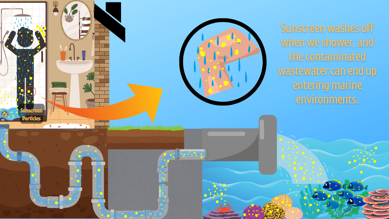 Sunscreen From Fishbones Process Understanding Sunscreen | Reef Relief