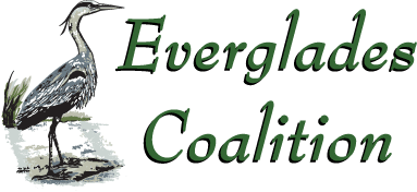 evergladescoalition