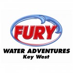 fury logo